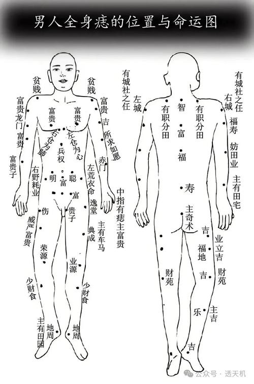 人身体哪些地方是恶痣