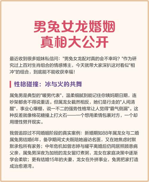 属兔和属龙的婚姻怎么样 好不好