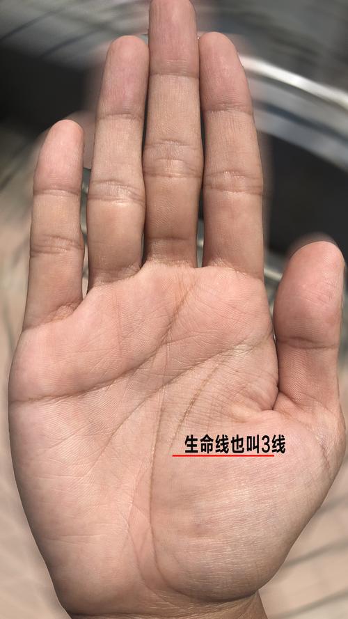 短命的人手相特征容易早逝