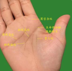 贵人运很好的手相是什么样子的