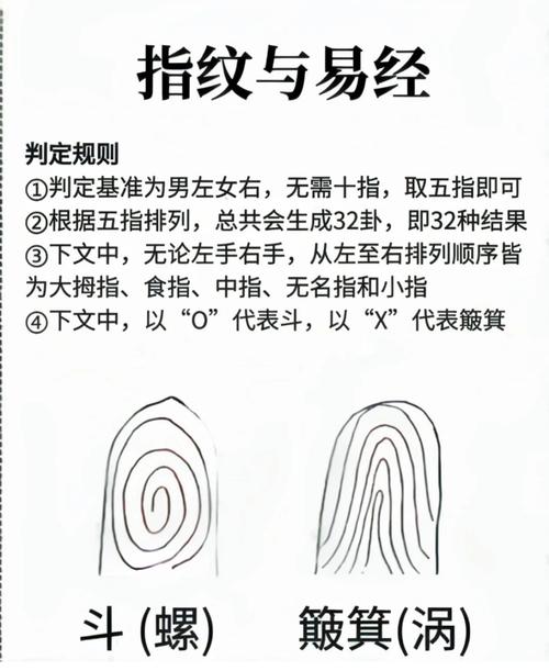 指纹看相十个簸箕纹 赚钱方式多种多样