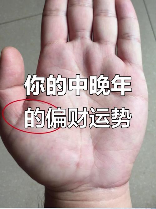 最有福气的手相 大吉大利财运来