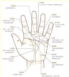 手上川字纹怎么说 川字纹图片及命运详解