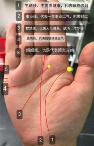 婚姻线分叉又合在一起 婚姻运势稍有坎坷
