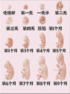 有福气孩子出生前预兆 真的很神奇