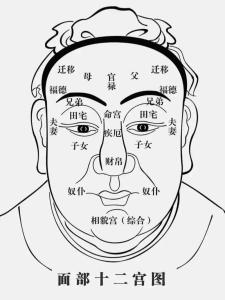 四白眼的人能够掌握人生吗