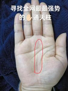 川字掌的人财运好不好？