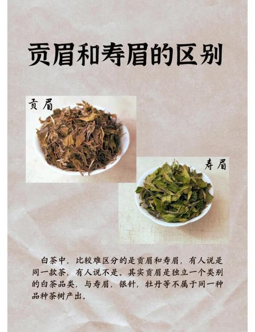 眉毛看相 白色的眉毛好不好