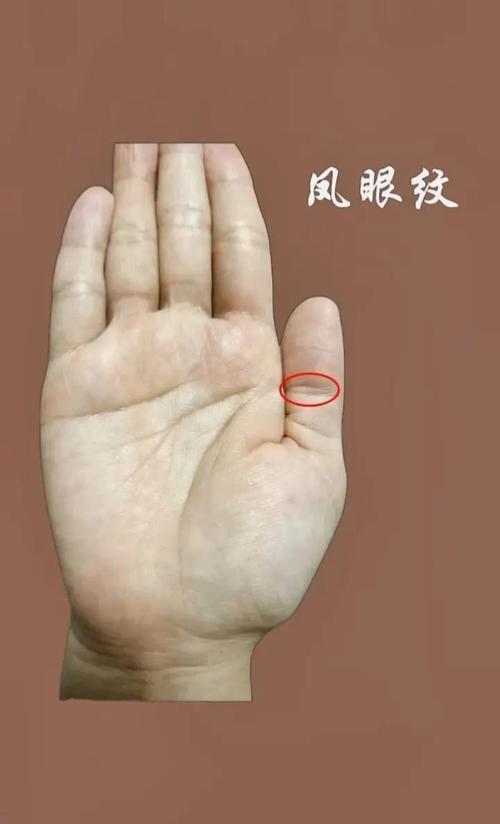 双手有凤眼纹的女人一生运势