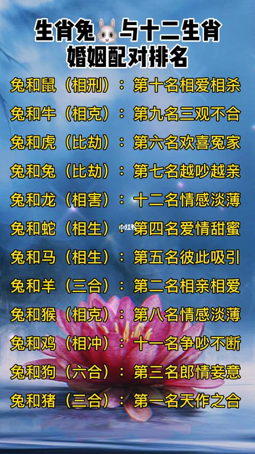 属兔最佳婚配属相 兔的三合和六合生生肖分别是什么