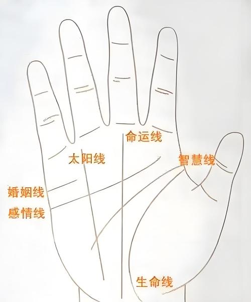 手相图解：太阳线看你今生财富