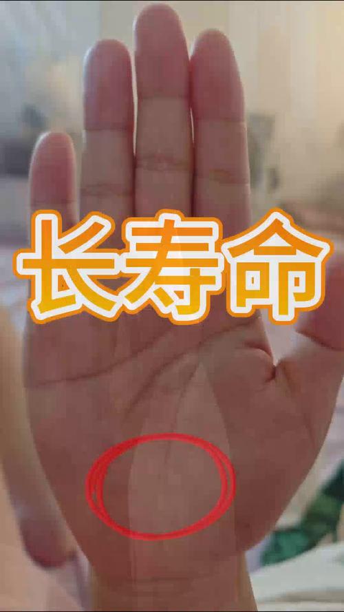 拥有美好晚年的手相