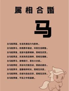 2002年属马的婚姻状况