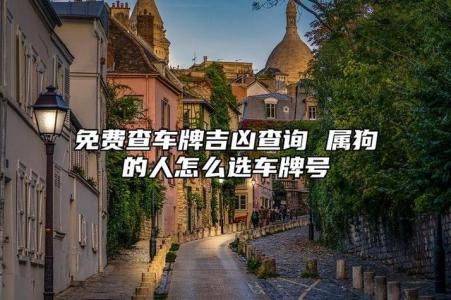 94年属狗人使用什么车牌号最好 94年狗车牌号吉祥数