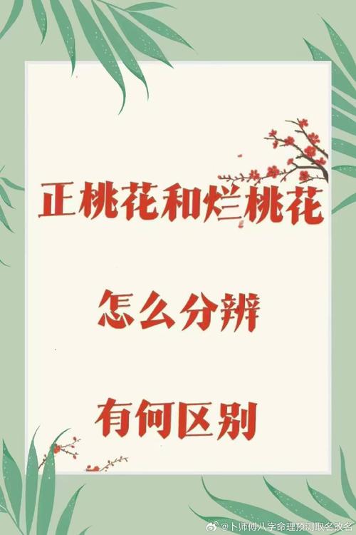 什么是烂桃花？