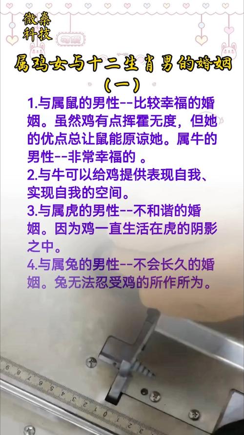 属鸡的婚姻为什么不好