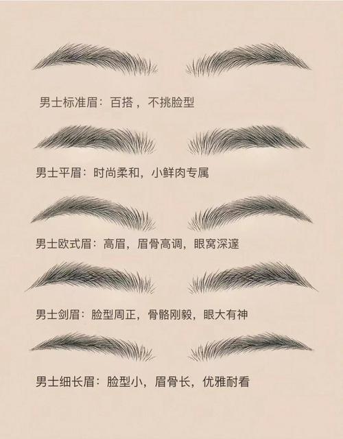 从21种眉毛看男人性格命运 男士眉毛形状图解