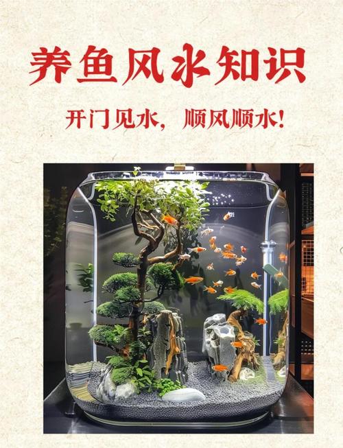 鱼缸放了什么反而影响风水鱼的招财作用