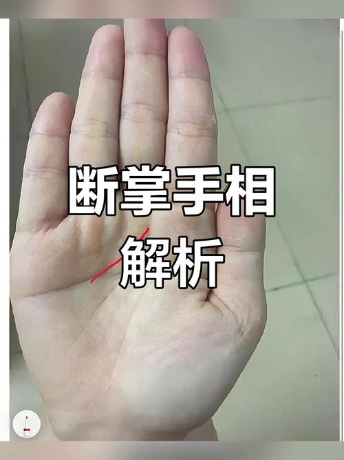 感智分叉假断掌的女人婚姻如何 忠于事业发展中心