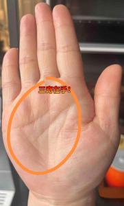 女人手掌三奇纹 吉祥好运助力事业腾飞