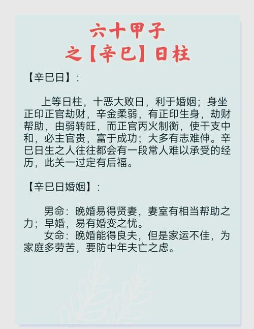 2022年八月十八什么命 己巳日柱聪明有才智