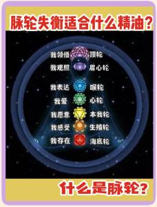 生命密码七魄分析