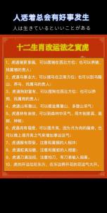 2022年中元节出生的虎宝宝  才华过人天赋极好