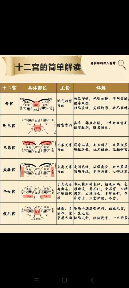 通过面相看生男生女