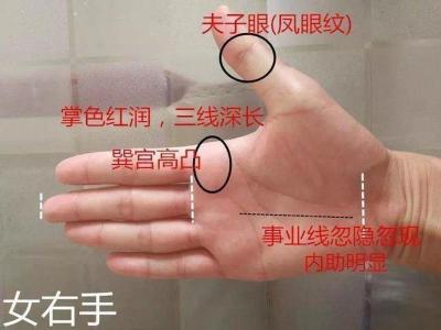 凤眼纹和夫子眼的区别，有什么不同？