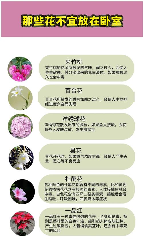 婚姻风水常识 鲜花不宜多