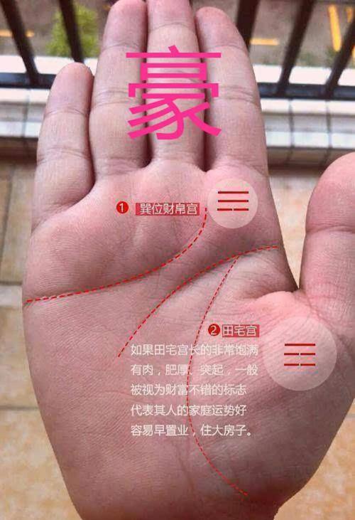 最受女子喜爱的宅男手相