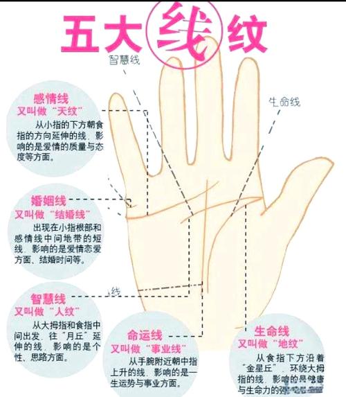 手相子女线看你的子女情况