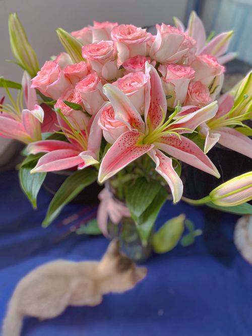 适合招桃花运的花 玫瑰百合情意绵绵