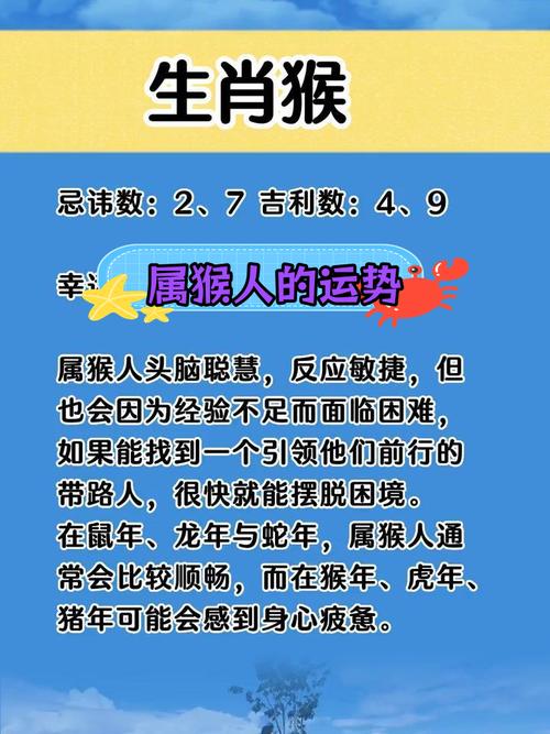 属猴人一生最旺的颜色