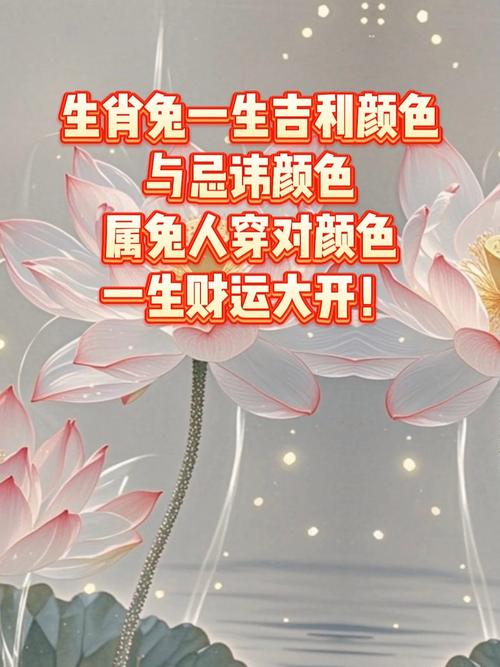 属兔人一生的幸运色是什么颜色 属兔人一生的贵人到底是谁呢?