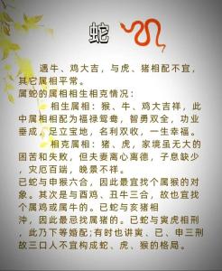 属蛇的婚配表 属蛇的上等婚配生肖