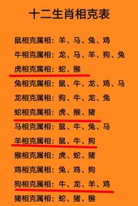 能化解吗 兔2024跟什么属相犯冲