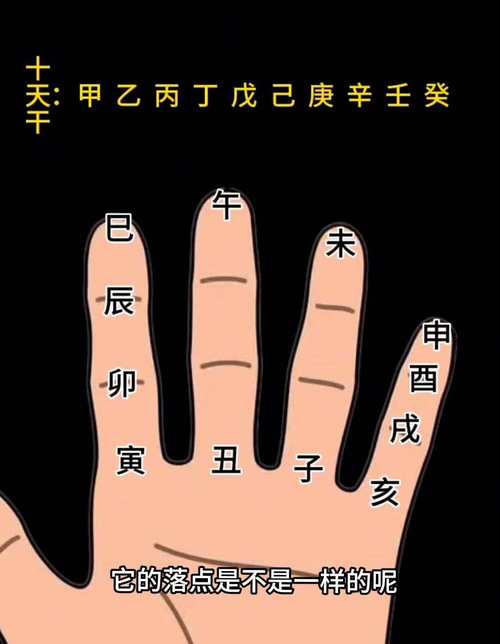 十指全是斗的是帝王命吗