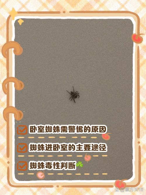 家居房间里有蜘蛛代表什么预兆的