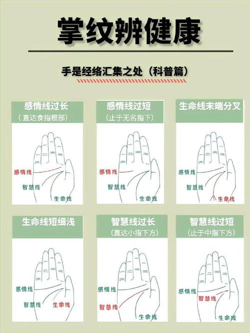 手相三条线分别是什么图解 如何分析手相中的三条线