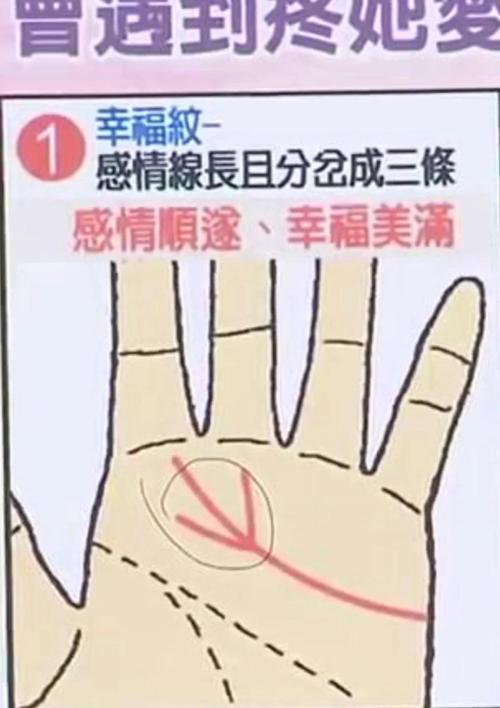 手掌有螺旋纹图解 婚姻和谐个性坚强