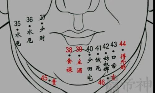 男人面痣相图是怎么看 下巴长痣富贵