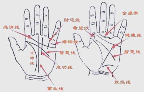 你的手相有这些特征 那你的偏财运一定非常好