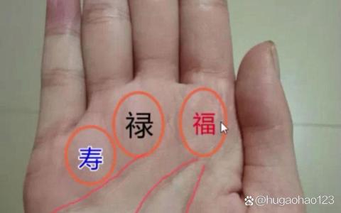 手相福禄寿三丘隆起 守财能力极佳头脑聪明