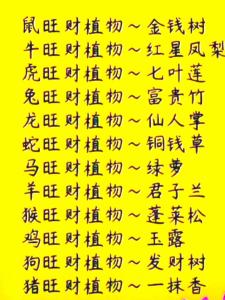 12生肖旺财风水花草，找对了就赚了