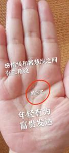 三角纹位于婚姻或感情线上的人一生运势怎么样