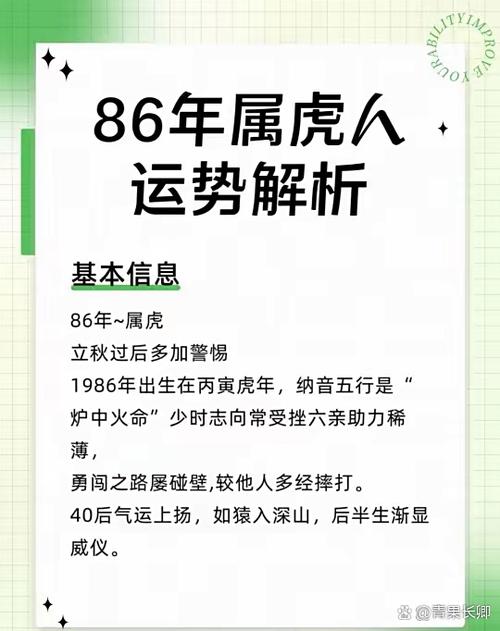 炉中火虎命事业方向 南方提升事业运势