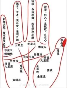 手相中的事业线怎么看 免费看事业发展情况
