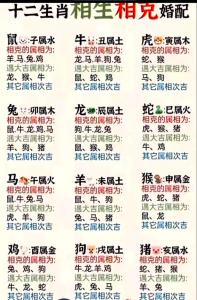 今日生肖冲煞 2022年4月26日生肖冲什么属什么