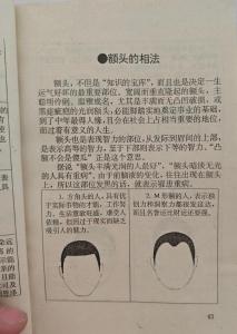 额头在面相中有什么属性，面相额头怎么看？